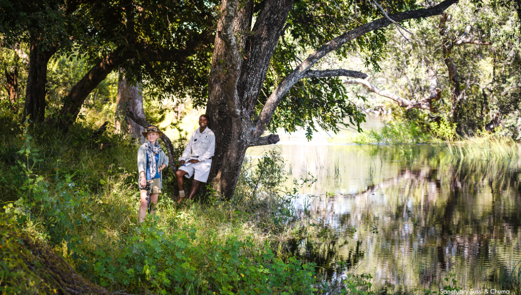 Walking-safari Walking-safari
